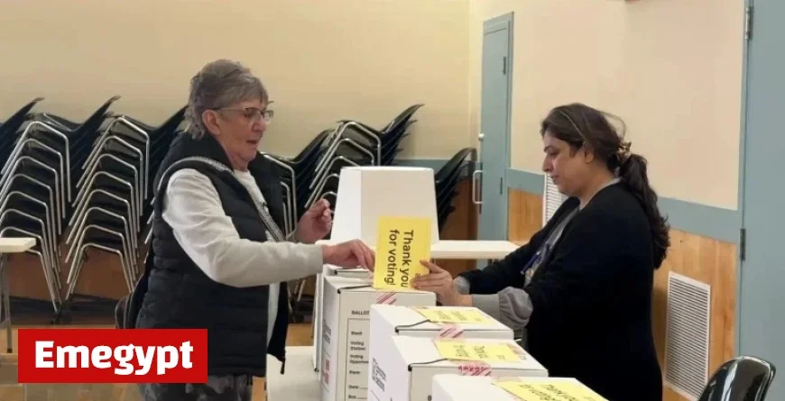 Edmonton election results delayed by hand-counted ballots as candidates criticize tabulator ban as unnecessary
