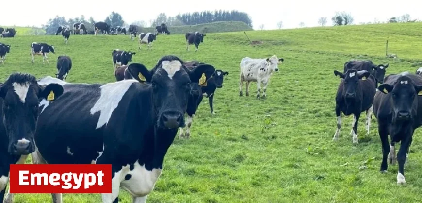 Preparing the Dairy Platform for a Successful Spring