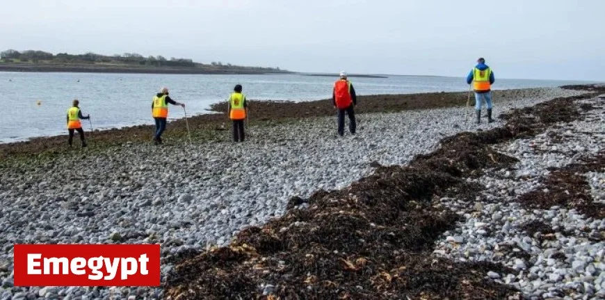 Galway’s Ongoing Search Intensifies for Missing Person
