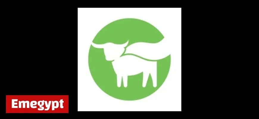 Beyond Meat Launches New Value Pack Products Nationwide at Walmart Stores
