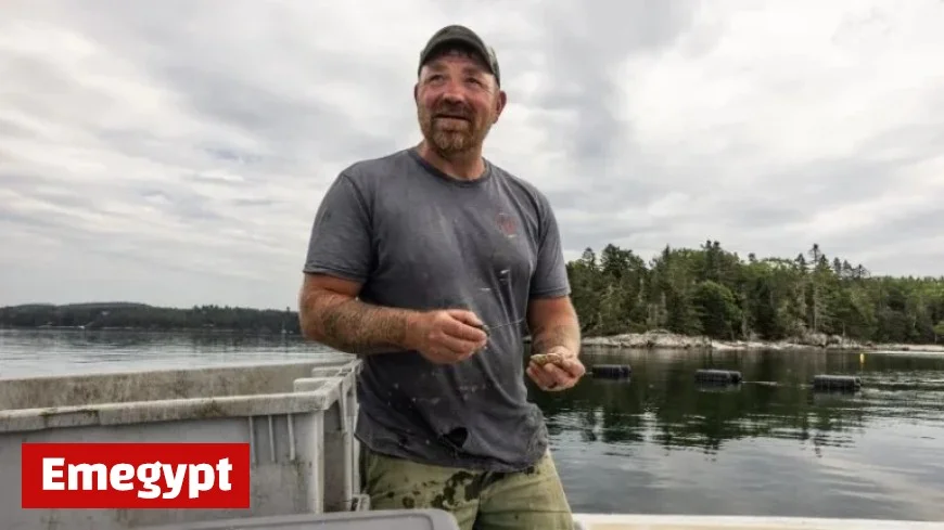 Maine Senate Candidate’s Deleted Posts Reveal Candid Thoughts on Communism Politics War and Police
