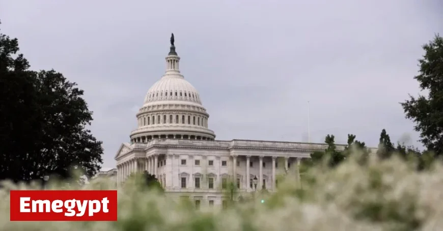 Ex-US Officials Call on Congress to Investigate Weaponization Task Force