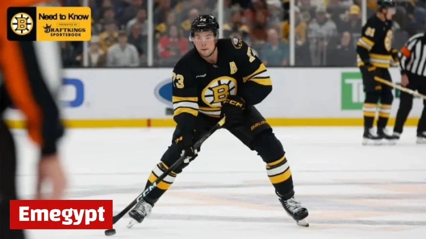 Key Insights: Boston Bruins vs. Panthers Matchup Analysis