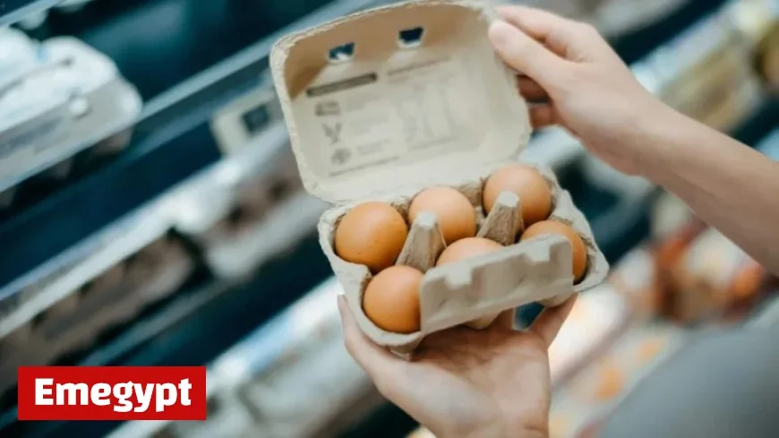 FDA Elevates Egg Recall to Highest Severity Level: Find Out if You Are Impacted