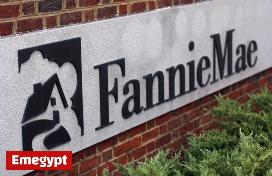 Peter Akwaboah Appointed as Acting CEO of Fannie Mae by FNMA OTCMKTS