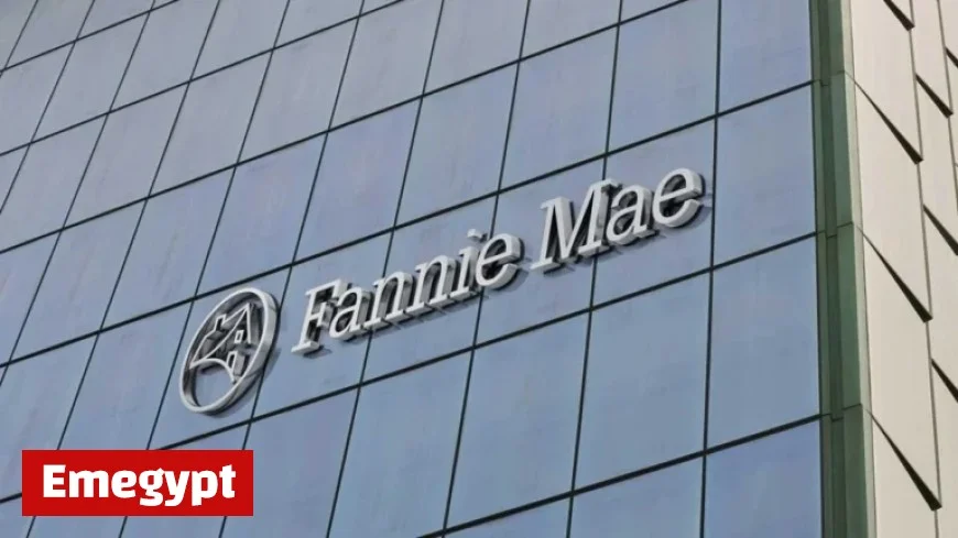Fannie Mae Appoints Peter Akwaboah as Acting CEO