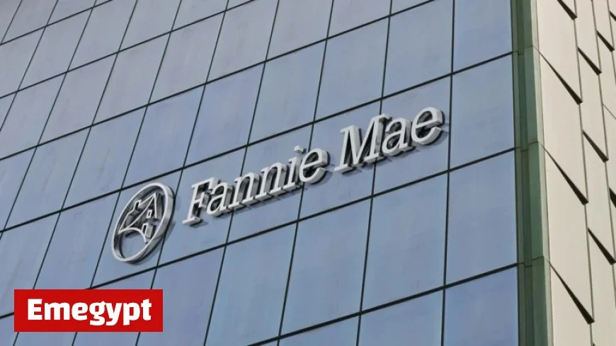 Peter Akwaboah Appointed as Fannie Mae’s Acting CEO Enhancing Leadership Expertise