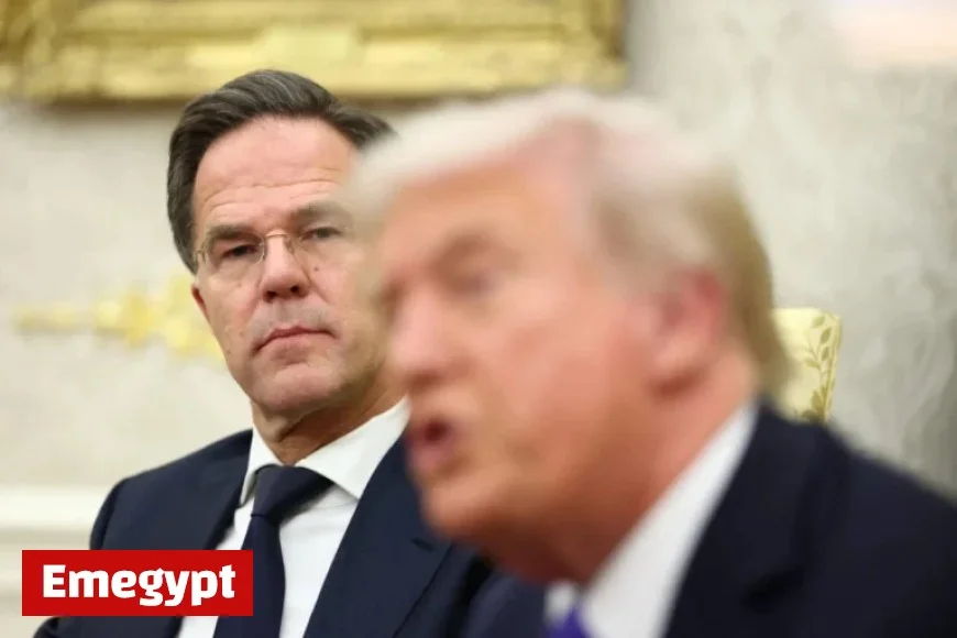 Watch Trump Meet NATO Chief Rutte Following Postponed Putin Talks