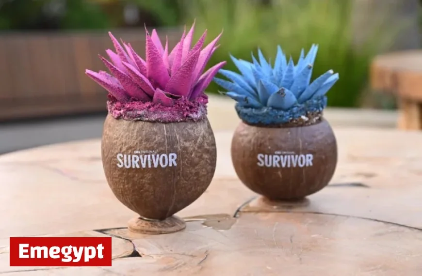 How to Stream Survivor Season 49 Episode 5 for Free Today