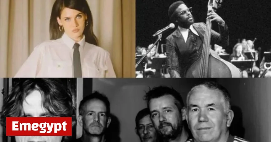 Discover 20 Must-See Acts at Cork Jazz Festival Featuring Sweet Soul Classic Reggae and Innovative Improvisation