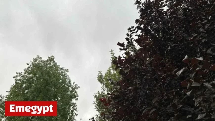 Las Vegas Area Braces for Showers and Thunderstorms