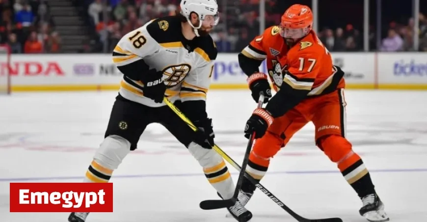 Bruins Aim to End 5-Game Losing Streak Against Ducks