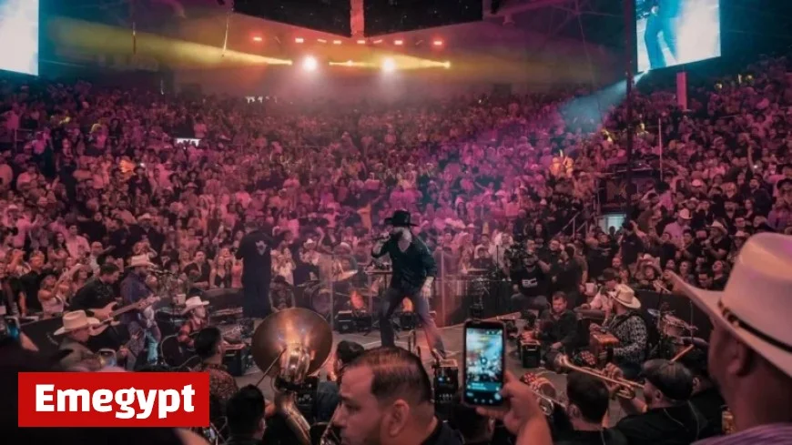 Spanish Music Industry Celebrates Over a Decade of Growth