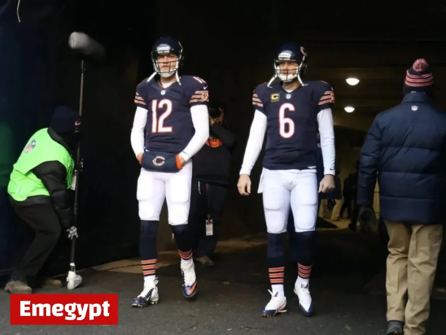 When Did Bears, Blackhawks, and Bulls Last Share Winning Records?