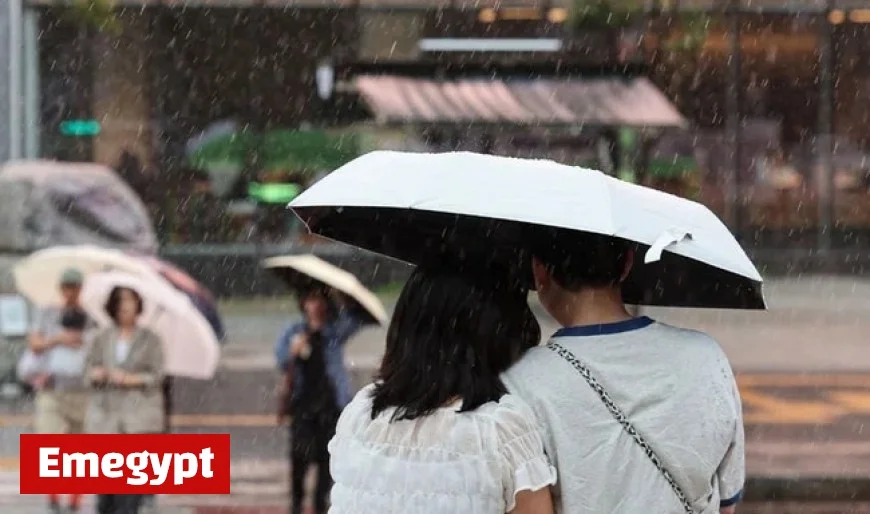 Highs Reach 23°C Today with Rain Expected in Eastern Gangwon and Gyeongbuk Coastal Areas