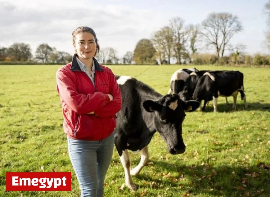 Best Ways to Invest Surplus Cash: Maria Steen Handbag, New Cow, or Renewable Energy?