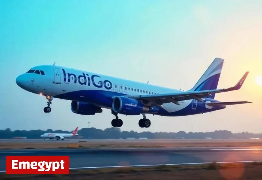 IndiGo Launches Daily Direct Flights from Mumbai to Madinah for Pilgrims and Business Travelers