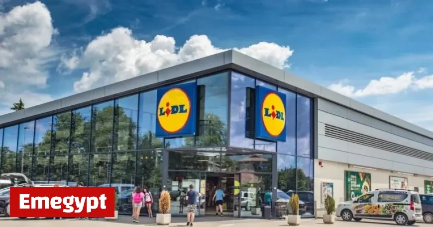 Lidl Offers Shoppers Over £100 in Products for Only £20 This Week