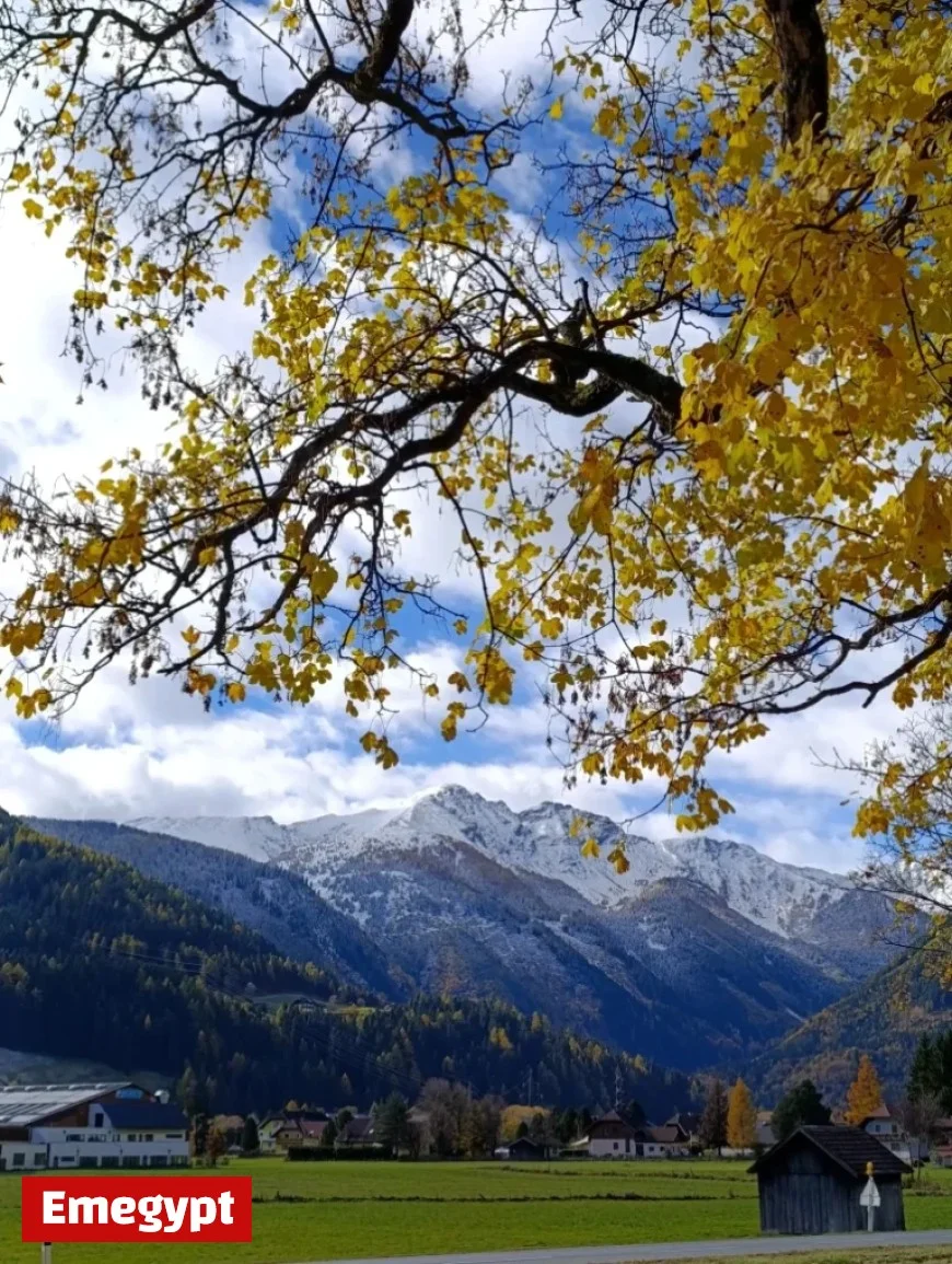 Golden Autumn or Wintry Weather Ahead
