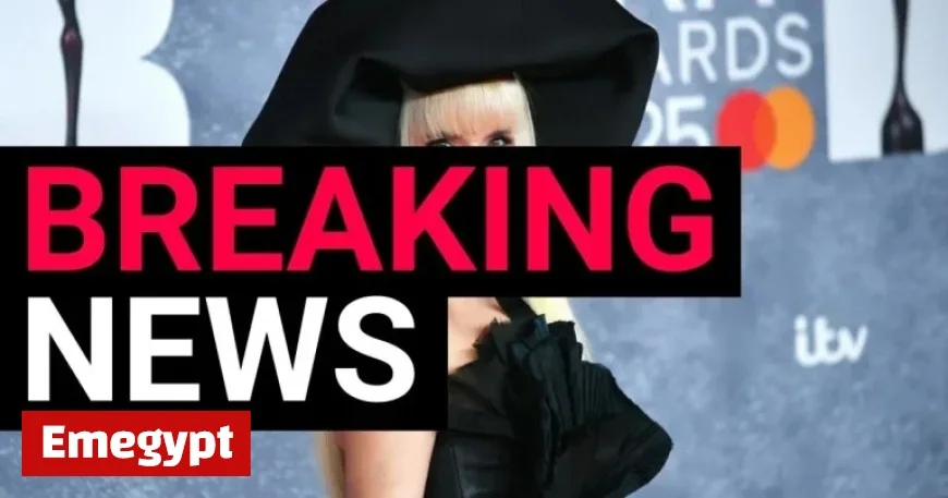 Paloma Faith reveals pregnancy at 44 with baby bump photo after overcoming IVF challenges