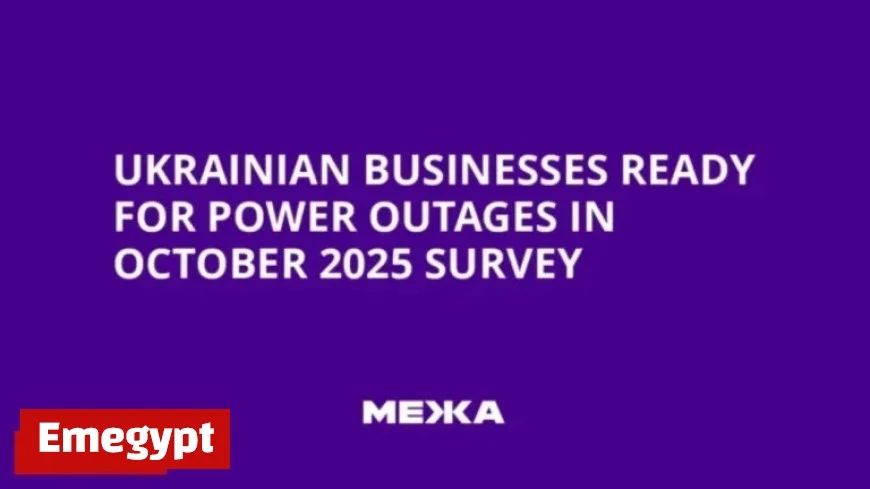 Ukrainian Businesses Brace for October 2025 Power Outages: Survey