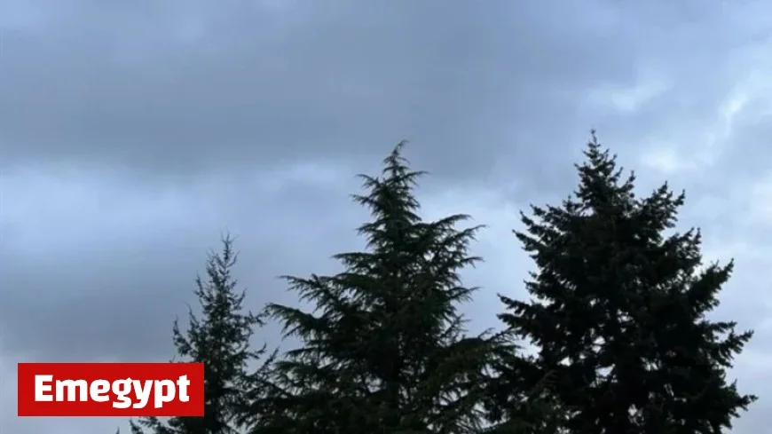 Prepare for a Stormy Weekend in Western Washington