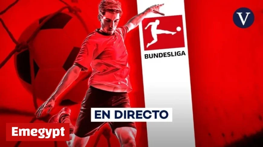 Borussia Dortmund vs. Köln: Live Coverage of Bundesliga Matchday 7