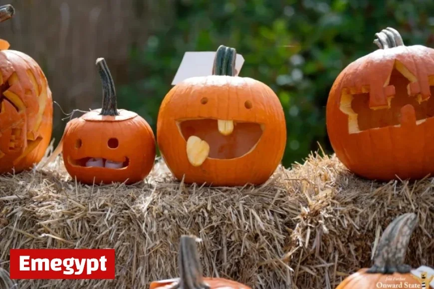 Maximize Your Bye Weekend with These Exciting Activities