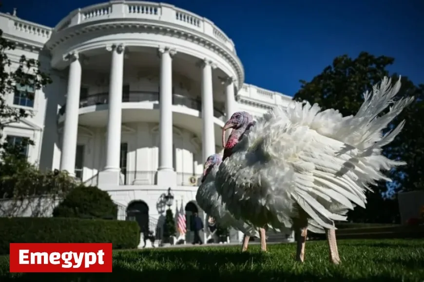 Thanksgiving Weather Forecast Across All States by Farmers’ Almanac