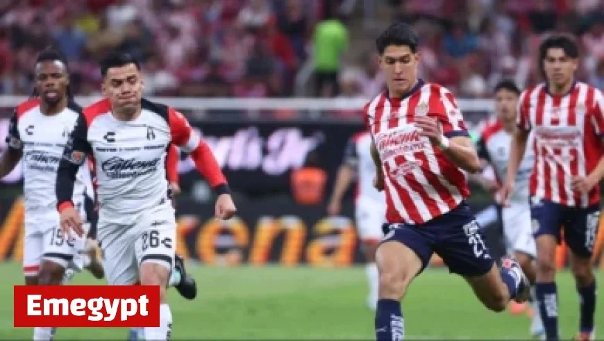 Watch Tigres vs Tijuana Live Stream: Follow the Match Online