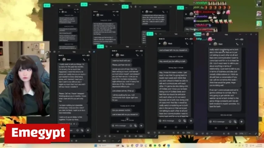 Emiru Exposes Months of Harassment from Mizkif After Their Breakup