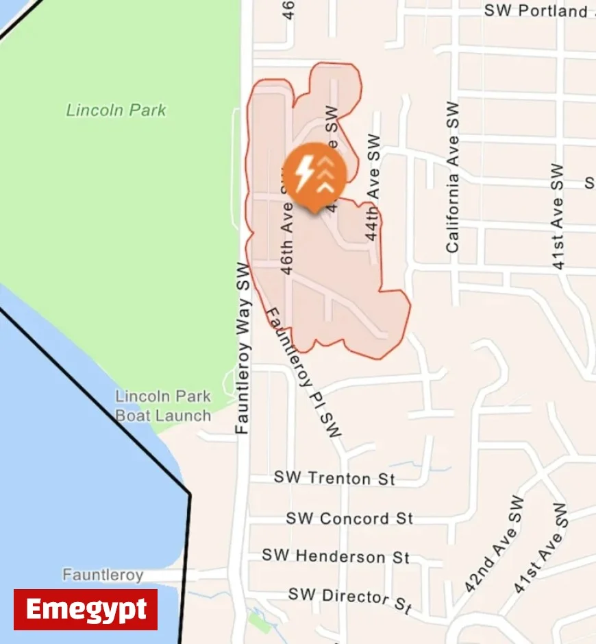 Strong Winds Knock Out Power Near Lincoln Park