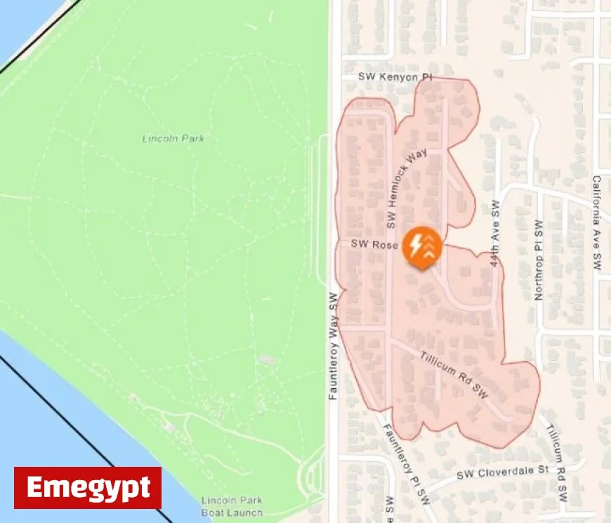 Wind Topples Tree onto Fauntleroy Power Line in West Seattle
