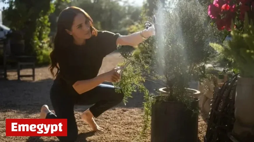 Meghan Markle Embraces Barefoot Wellness Trend with Others Joining In