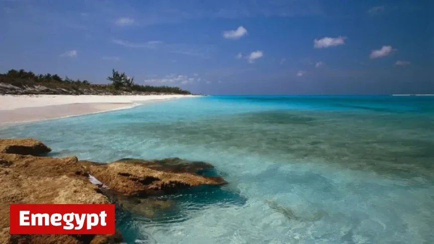 Bahamas Authorities Arrest Eight Americans for High-Powered Weapons Cache