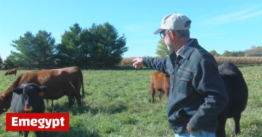 Dane County Farmer Responds to U.S.-Argentina Beef Agreement