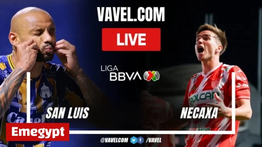 Atlético de San Luis vs Necaxa: Live Score Updates for Final Points Battle