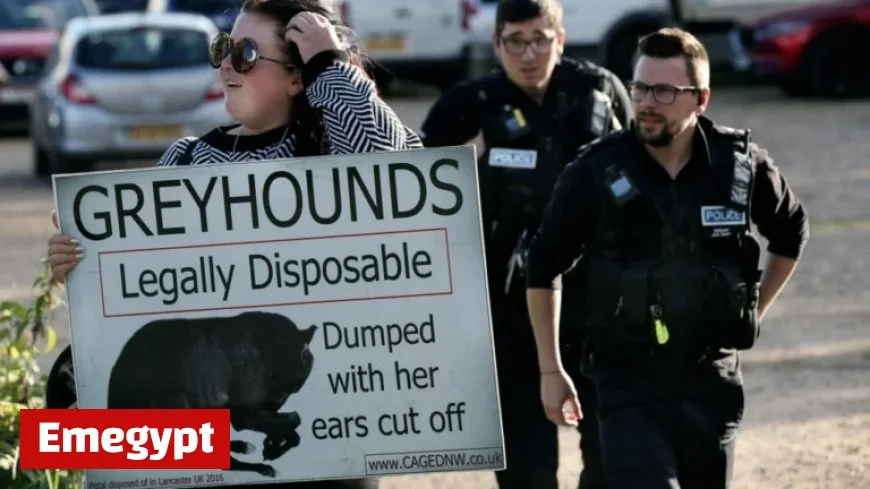 Greg Cruttwell’s Film Unveils the Controversy of Greyhound Racing