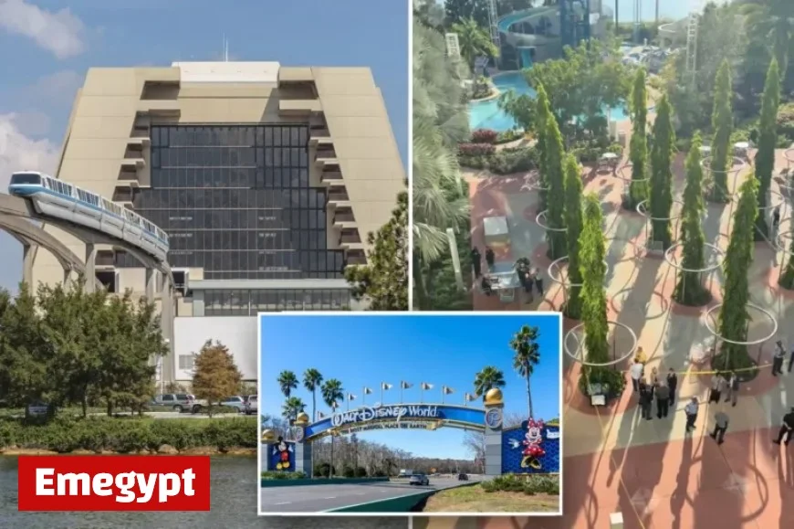 Disney World Staff Shield Views Amid Third Death This Month, Witnesses Report