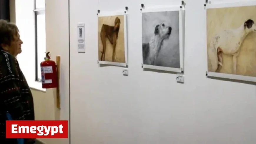 South African Greyhounds Embrace New Roles in Art Initiative