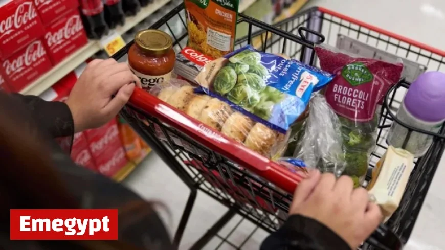 Trump Administration Halts Federal Food Aid Distribution Starting November 1