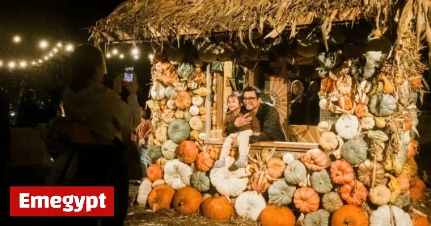 Top Activities in LA and SoCal: October 27-30