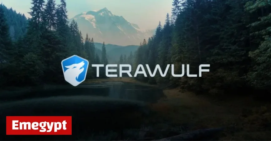 TeraWulf and Fluidstack Launch 168 MW AI Compute Joint Venture
