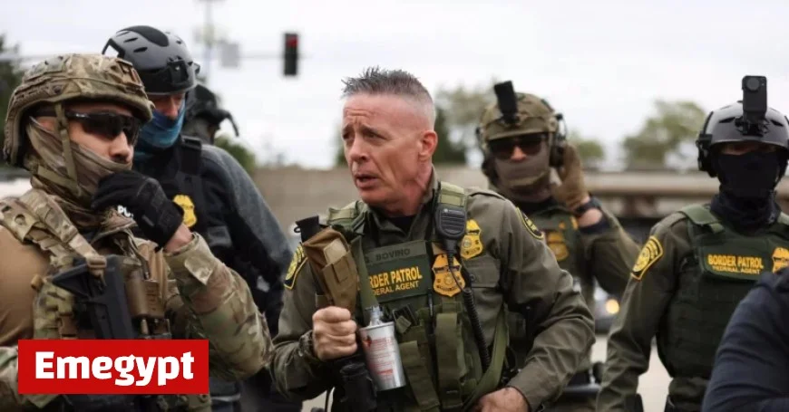 Judge Orders Chicago Immigration Official to Attend Court Daily Until Nov. 5