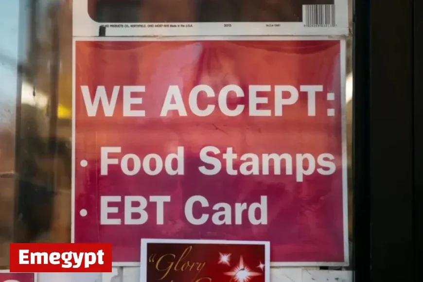 Agriculture Secretary Rollins: Action Feeds the Hungry, Not Theatrics | Opinion