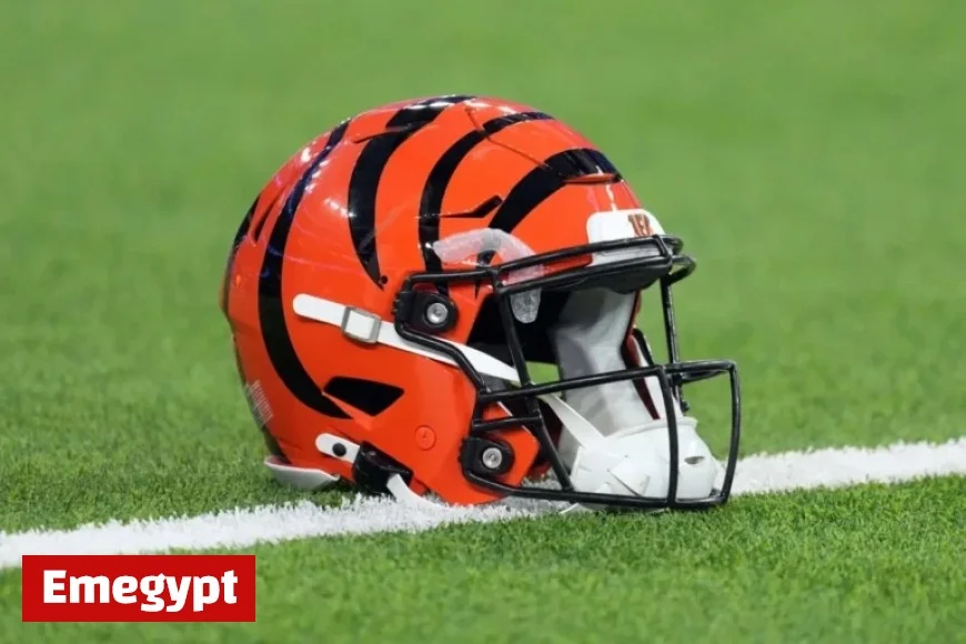 Bengals Cut DT Mike Pennel in Trio of Roster Changes