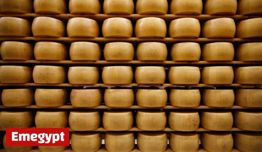 Washington Creamery Recalls Cheese Wheels After E. Coli Infections Reported