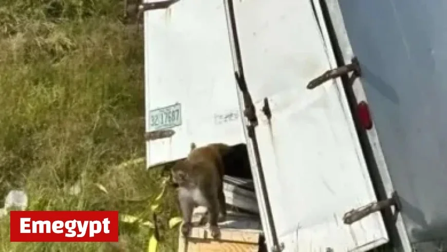 Lightning Speed into Nashville for Brief Trip