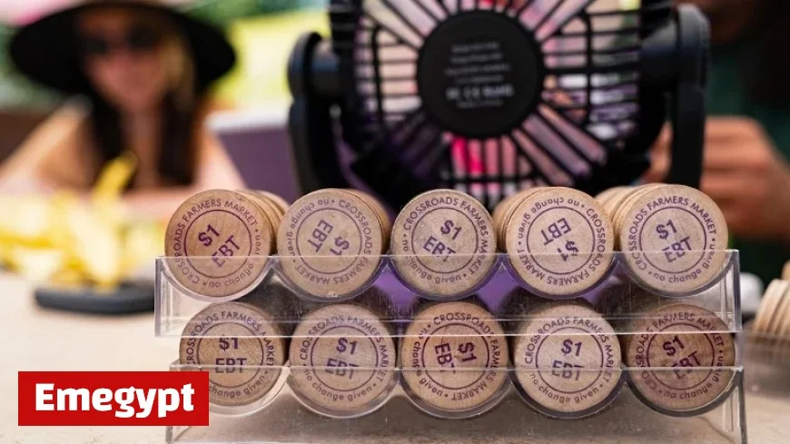 States launch lawsuit against Trump administration over impending multibillion-dollar cuts to SNAP food stamps