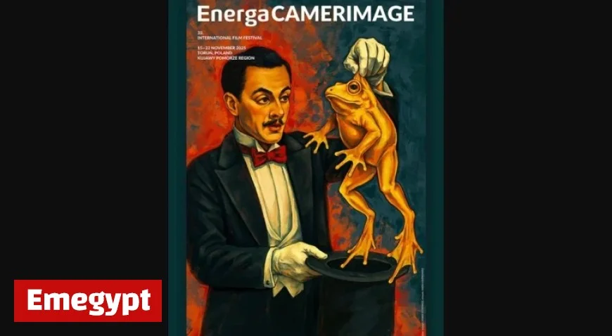 Seven Films Vie in EnergaCamerimage Debut Cinematography Contest